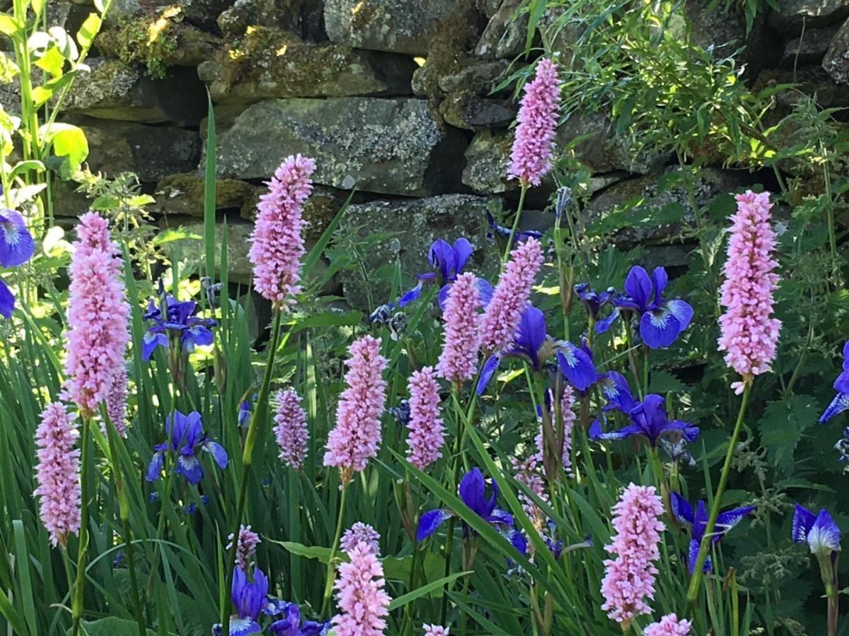 Errichel House And Cottages Aberfeldy Buitenkant foto