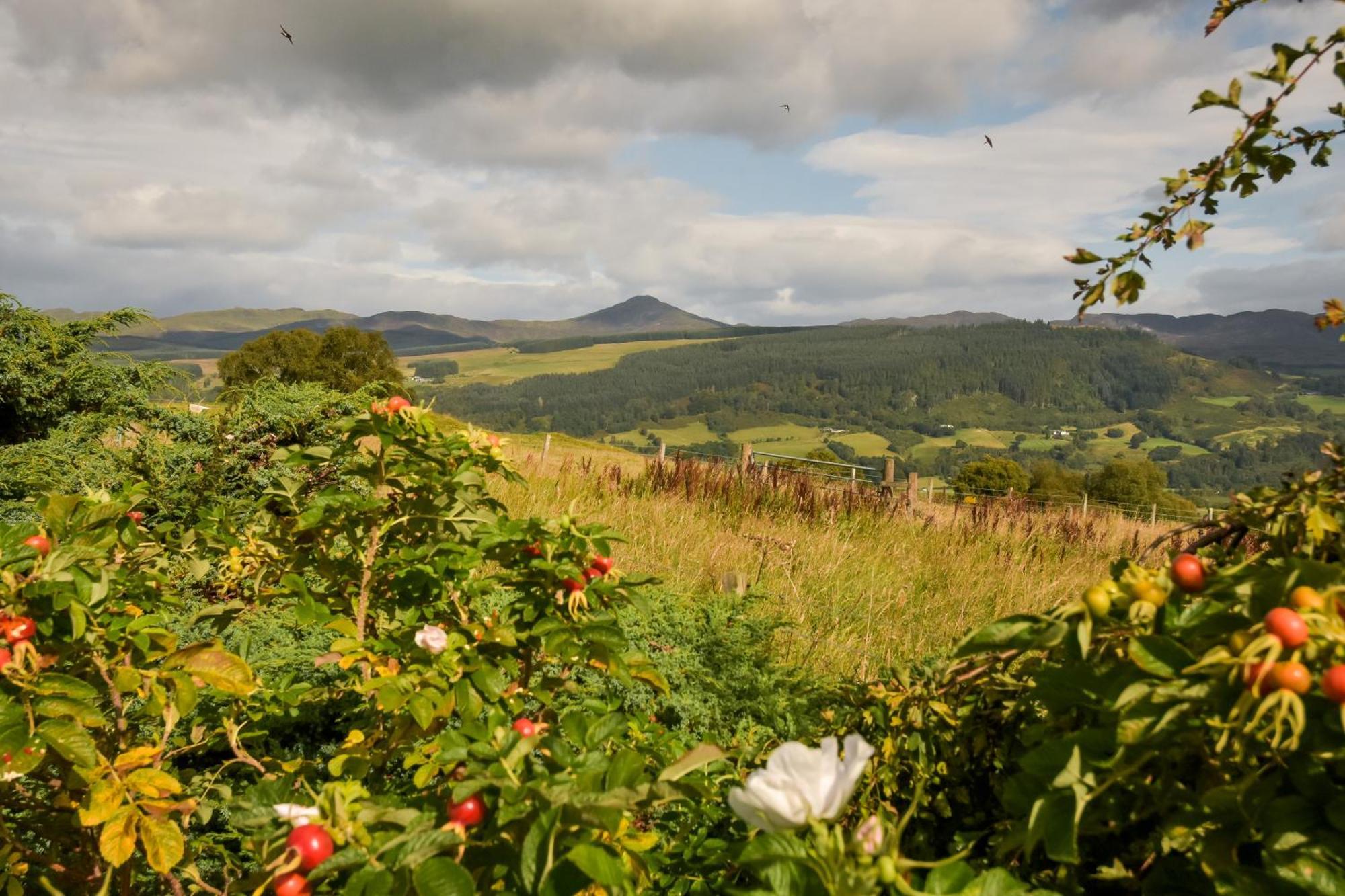 Errichel House And Cottages Aberfeldy Buitenkant foto
