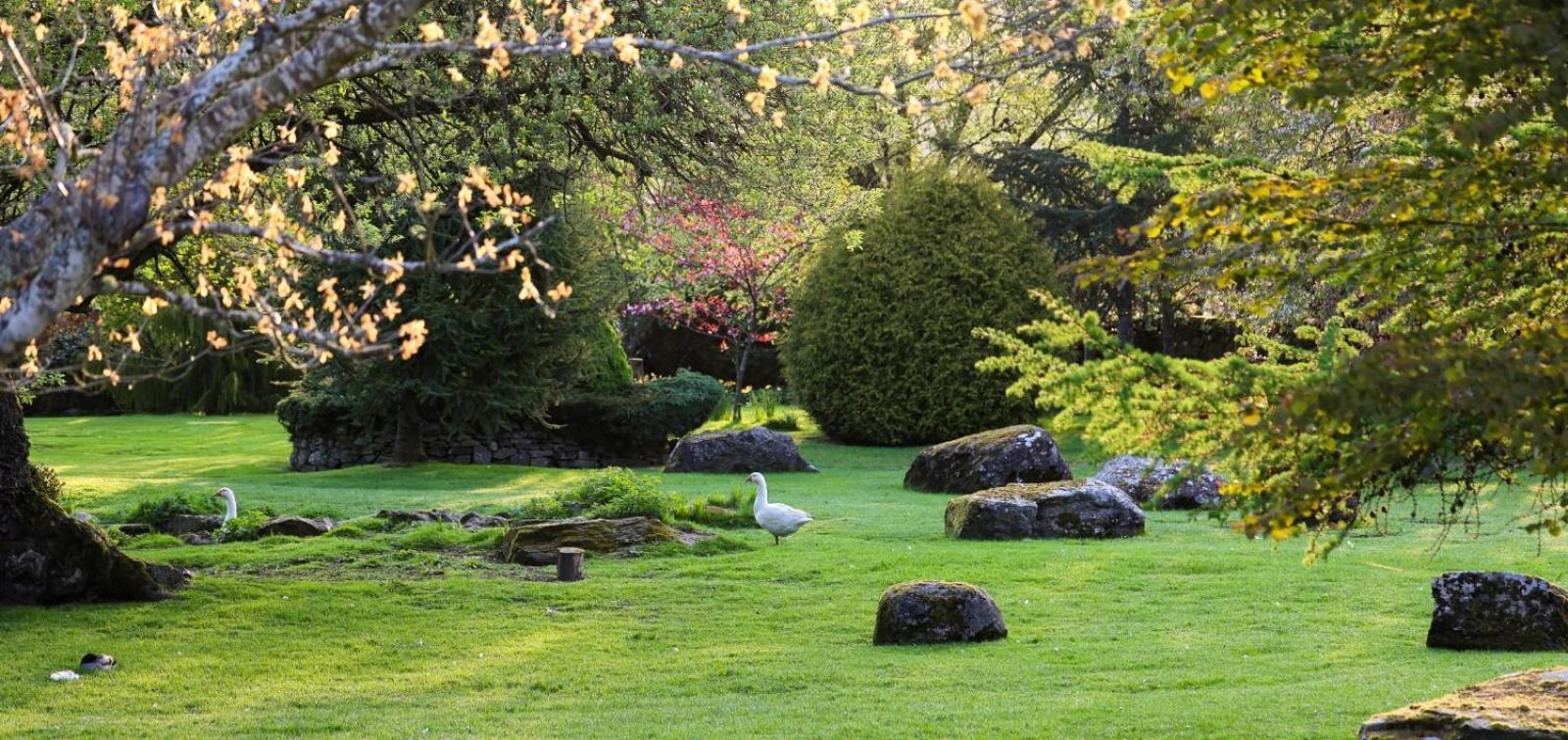 Errichel House And Cottages Aberfeldy Buitenkant foto